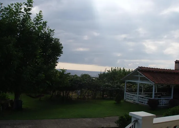 House With A View