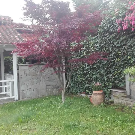 House With A View *